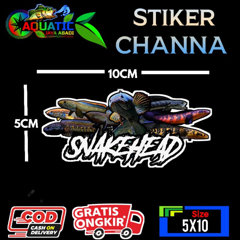 

Stiker Channa Snakehead