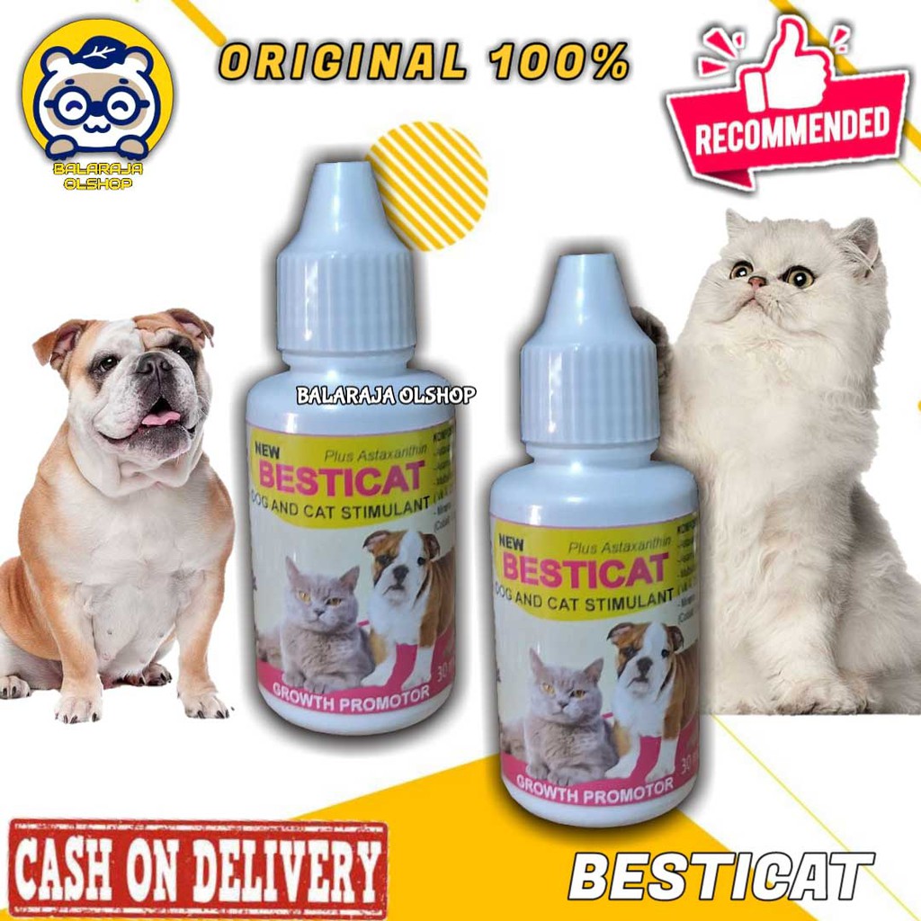 VITAMIN KUCING ANJING PENAMBAH NAFSU MAKAN DAN PENGGEMUK BADAN KITTEN &amp; PUPPY BESTICAT