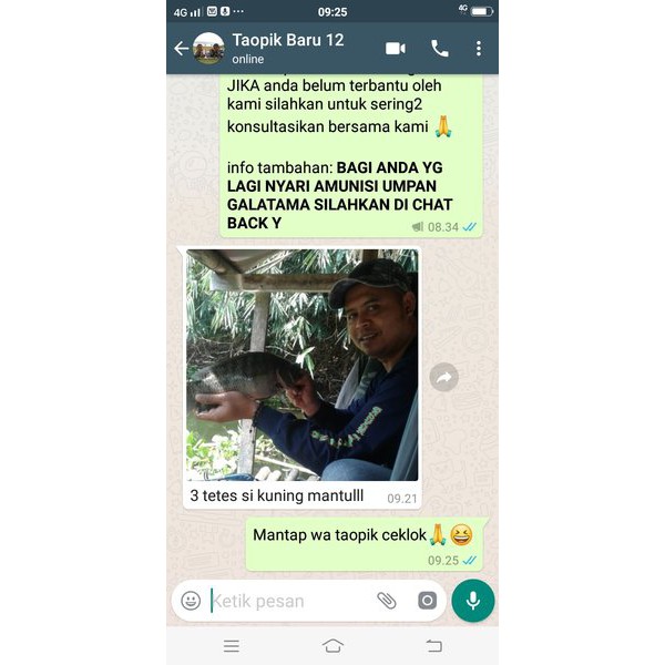 essen ikan nila umpan lumut