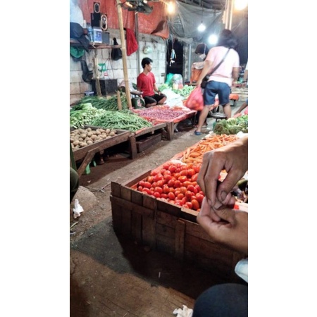 

tomat GH segar fress fruit 500 gr termurah