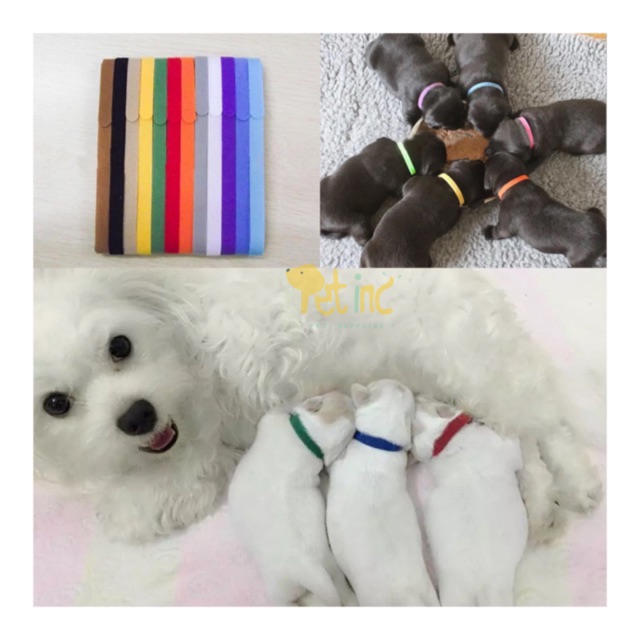 Puppy collar ID