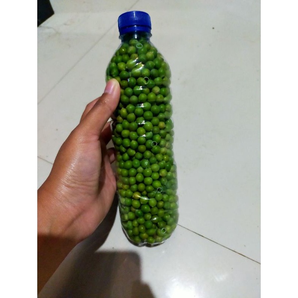 Harga Reseller Biji Lohansung Pucuk Merah dan Biji Lohansung Mawar