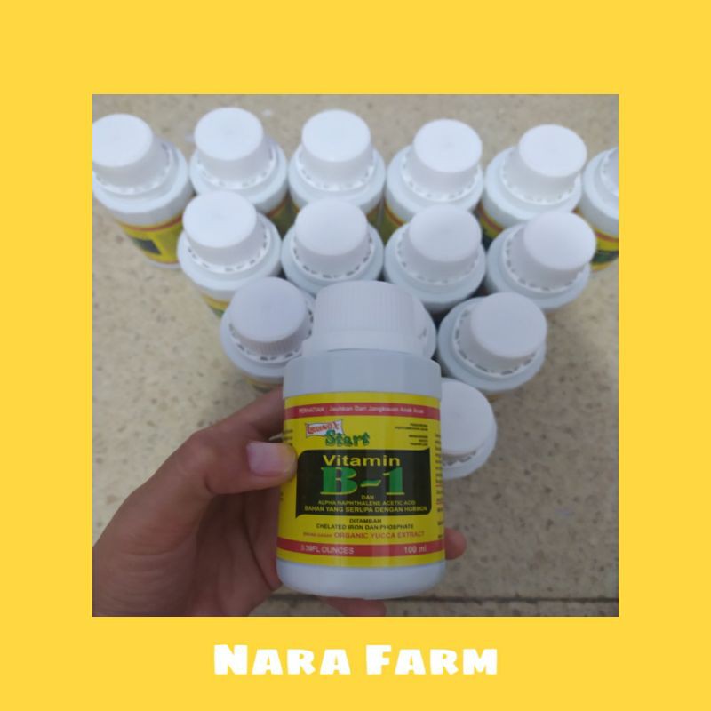Vitamin B1 untuk Tanaman