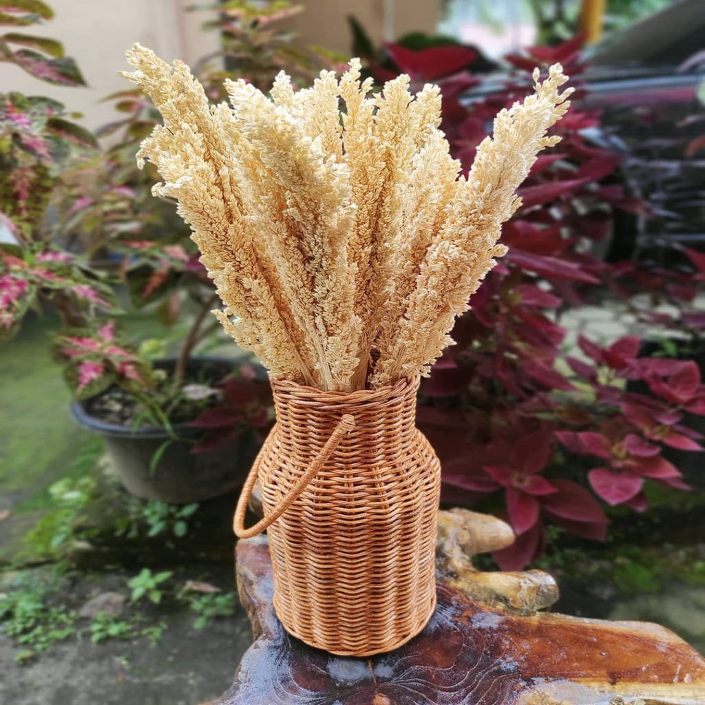 ALFA CRAFT - BUNGA CANTEL SORGUM HIASAN DEKORASI RUMAH / BUNGA GANDUM / BUNGA ARTIFICIAL