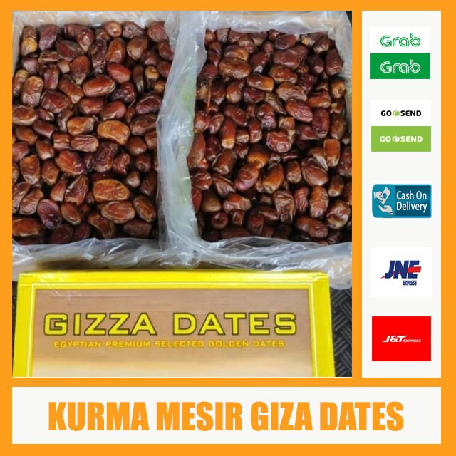 

Kurma Mesir Gizza Dates - Kurma Gizza dates - Kurma Mesir