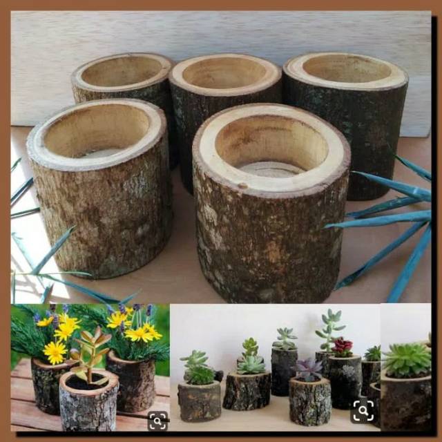 Natural wood log planters succulent pot vas bunga kayu kaktus