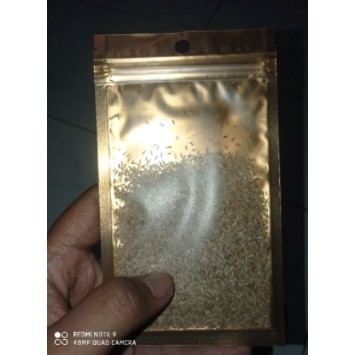 Biji carpet seed hairy grass