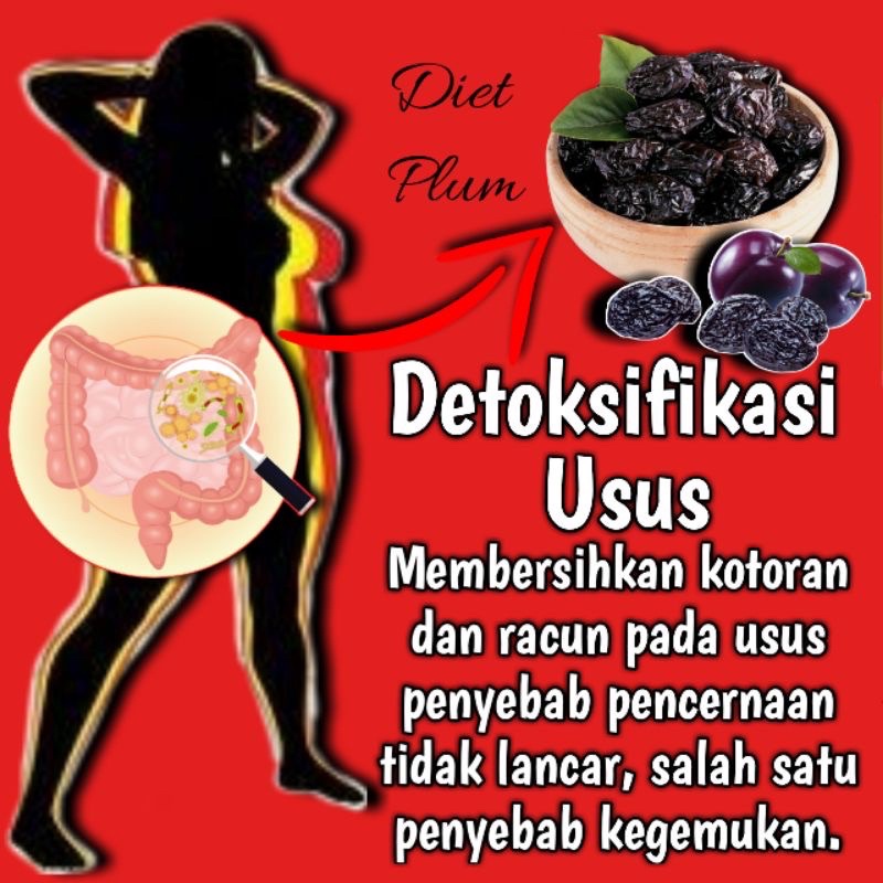 KURUS KILAT Pelangsing Badan Obat Diet Herbal Ampuh Penurun Berat Badan Pembakar Lemak Free Korset