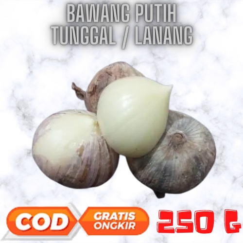 Bawang Putih Tunggal Lanang 250 Gram