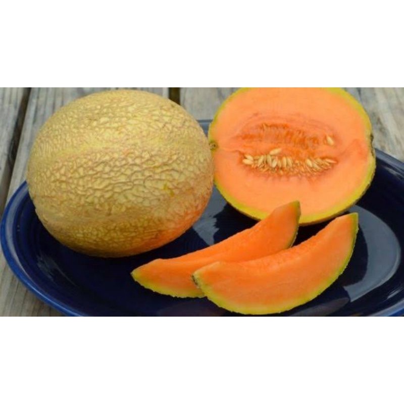 

Melon Orange/ Rock Melon Madu Manis Segar