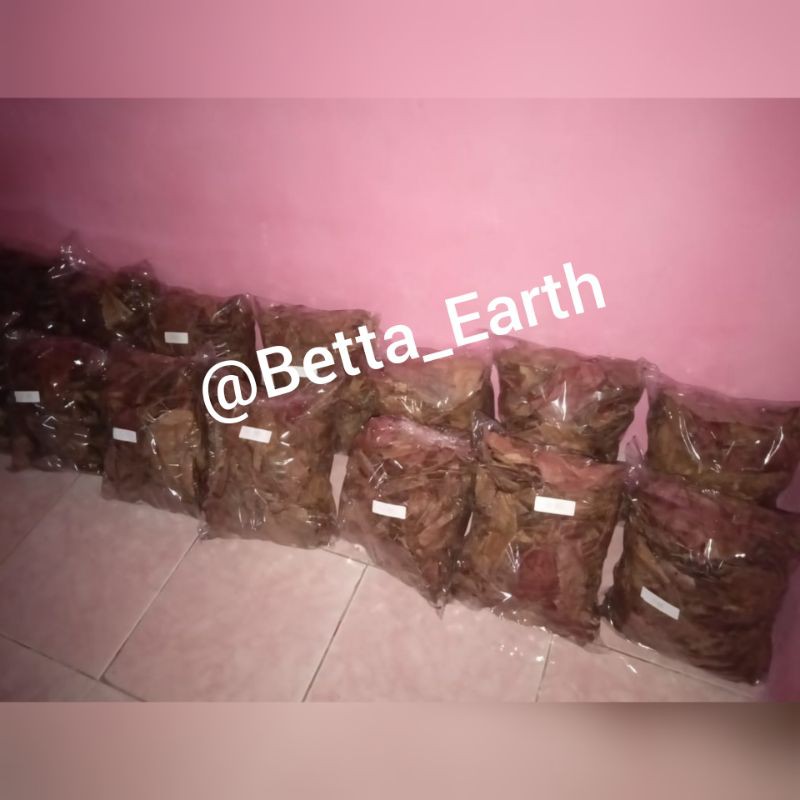 

Daun Ketapang Laut 1/2kg