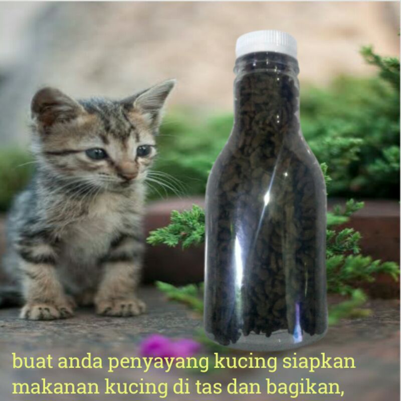 makanan kitten anak kucing botol murah oricat repack