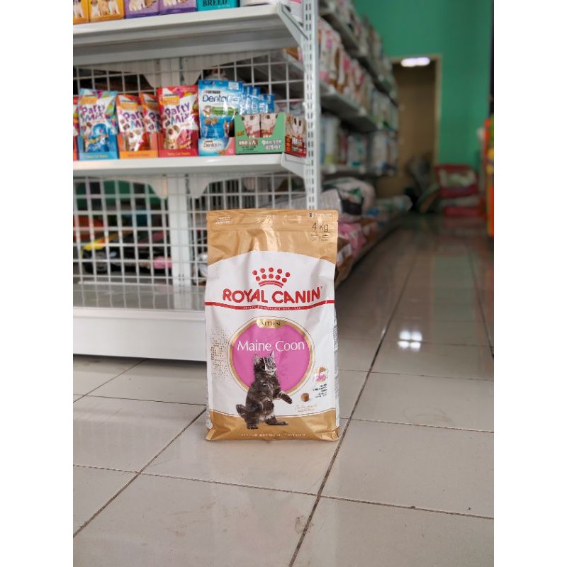 Promo Rc Mainecoon Kitten 2kg - Royal Canin mainecoon Kitten