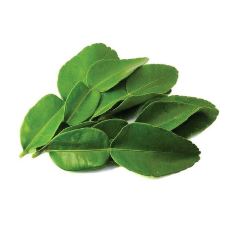 

Daun jeruk / daun jeruk purut 10 lembar