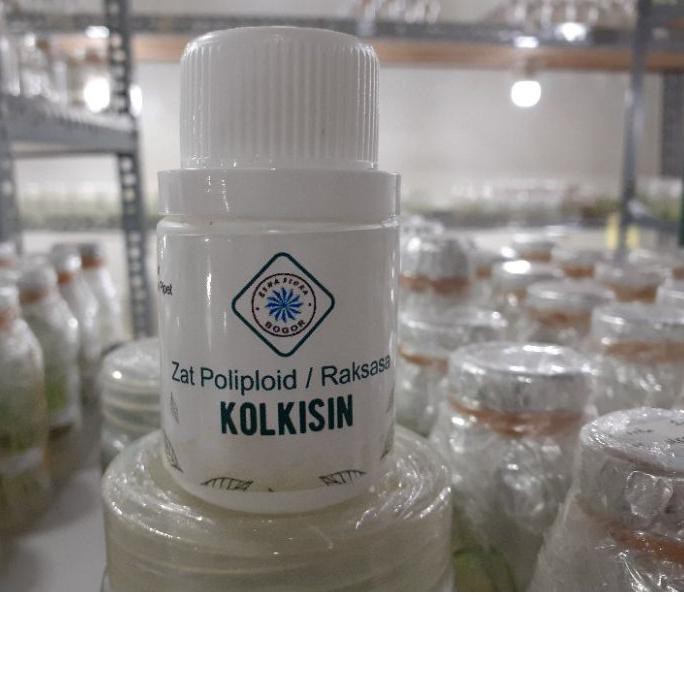 Terbaik Kolkisin / Zat Poliploid / Tanaman Raksasa / Esha Flora . . .