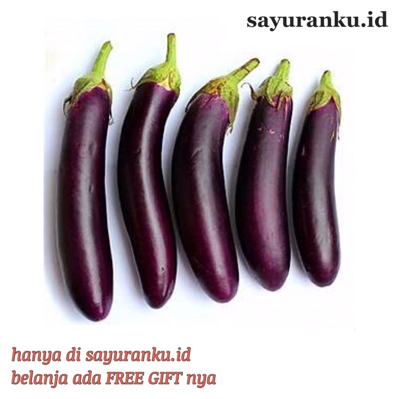 

terong ungu 500 gram sayur segar sayuran fresh pasar murah pasar jakarta