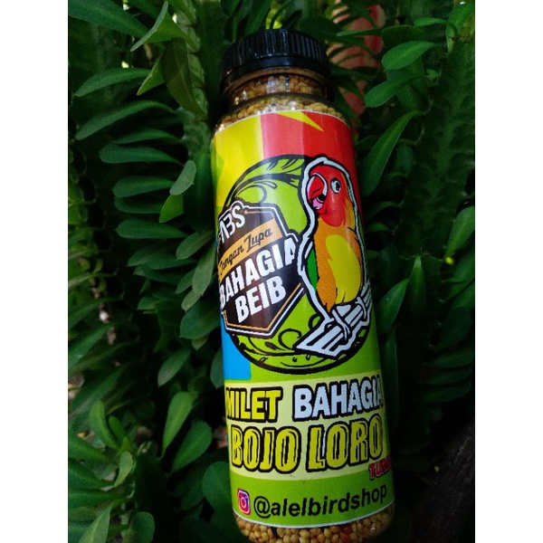 MILET BAHAGIA "BOJO LORO" DOSIS TURBO