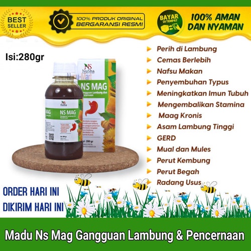 Madu NS MAG (6 in 1) Mengobati Sakit Maag / Asam Lambung/ Gerd Mual / Kembung 280 gr