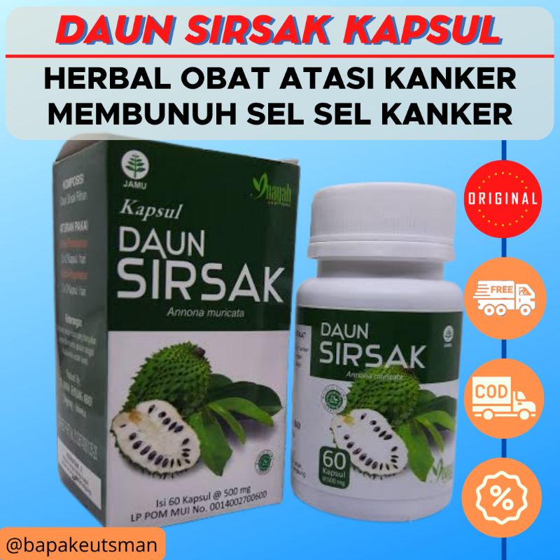 DAUN SIRSAK KAPSUL [INAYAH] - OBAT HERBAL ANTI KANKER