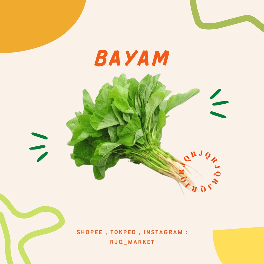 

SAYUR BAYAM - SAYURAN SEGAR