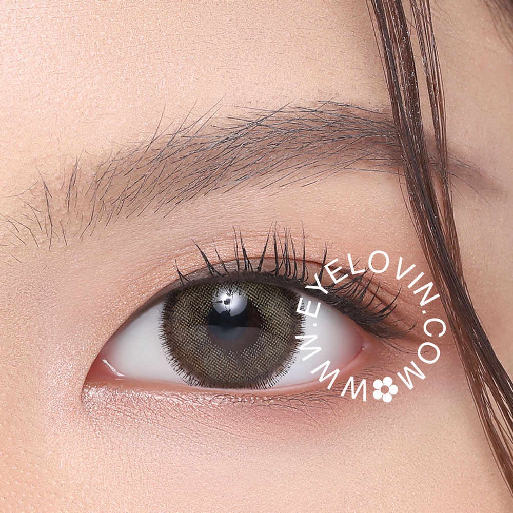 Softlens Dreamcolor I - Mini Nobluk Brown