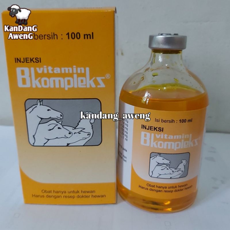 Jual Vitamin B Kompleks 100 Ml Vitamin Hewan Meningkatkan Nafsu Makan ...