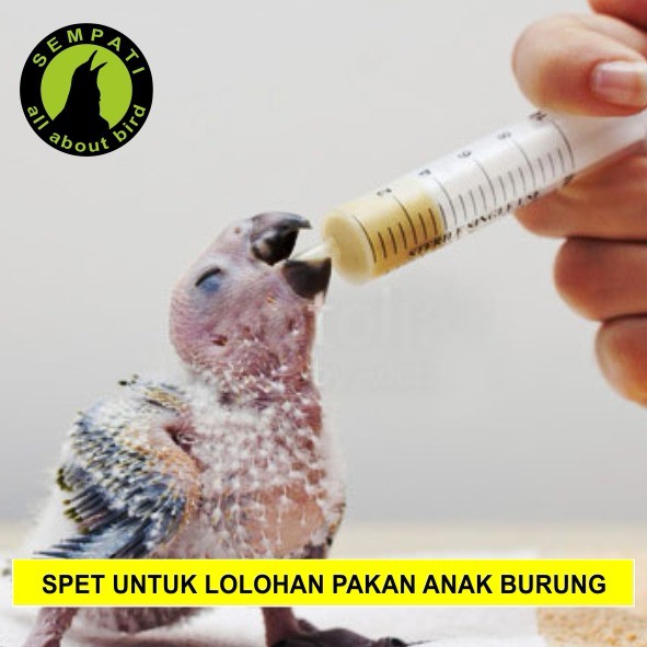 Suntikan Spet Wadah Pakan Lolohan Anakan Piyik Bayi Burung 20 Ml