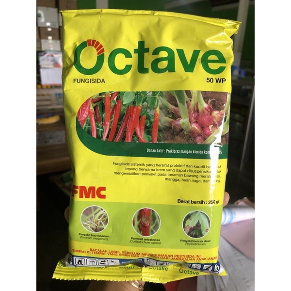 OCTAVE FUNGISIDA 250gr