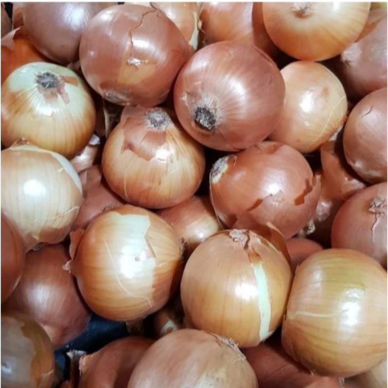 

BAWANG BOMBAY SUPER