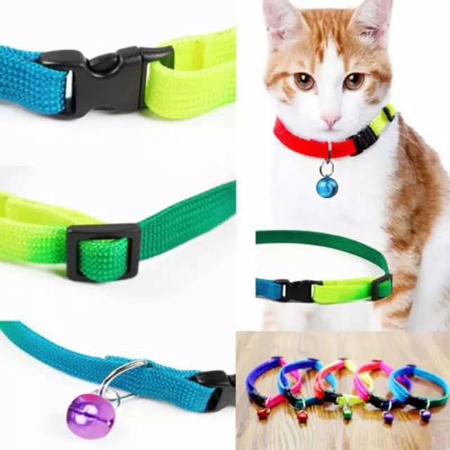 Kalung rainbow 1cm wrn sembur dg lonceng aksesoris collar kucing anjing kelinci murah simpel cantik
