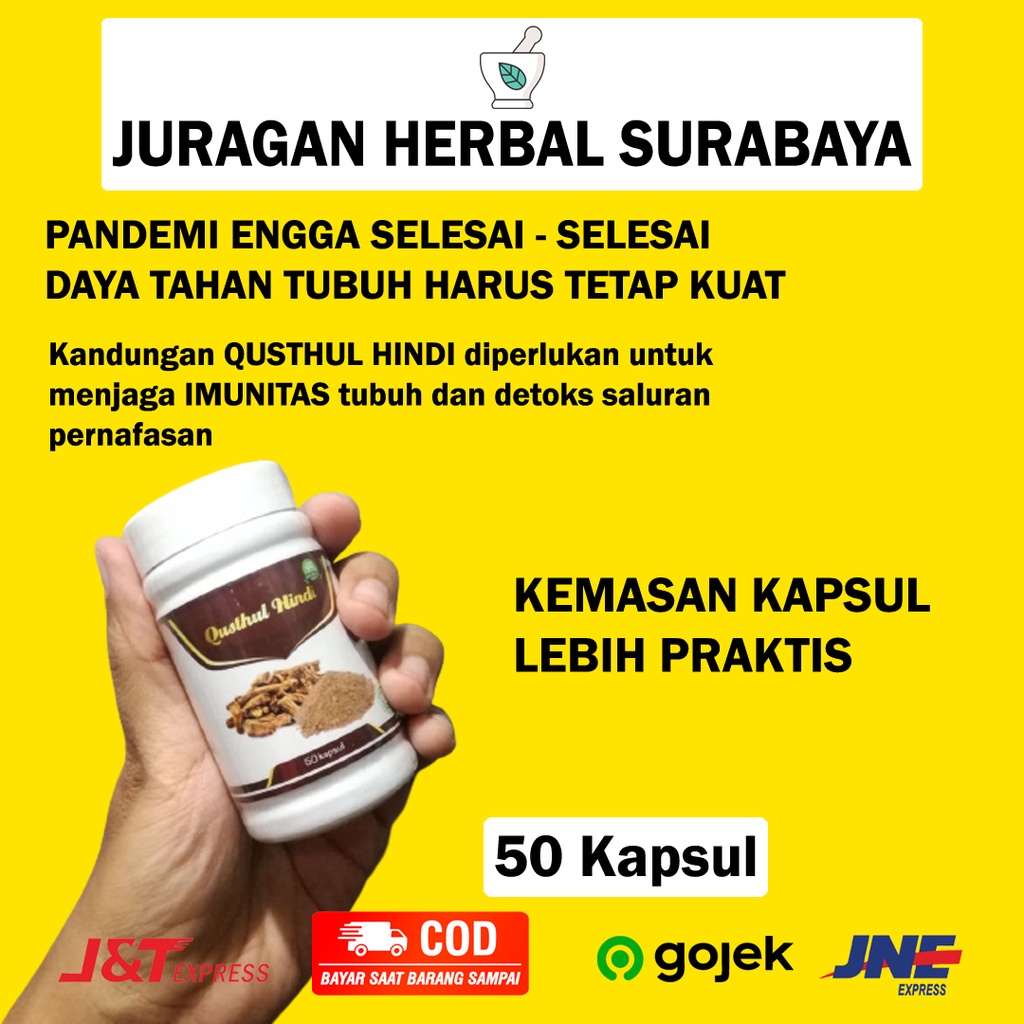 Qustul Hindi 50 Kapsul Qust Al Hindi Qusthul Hindi Asli Kayu India Original Quts Al Hindi Anti Covid