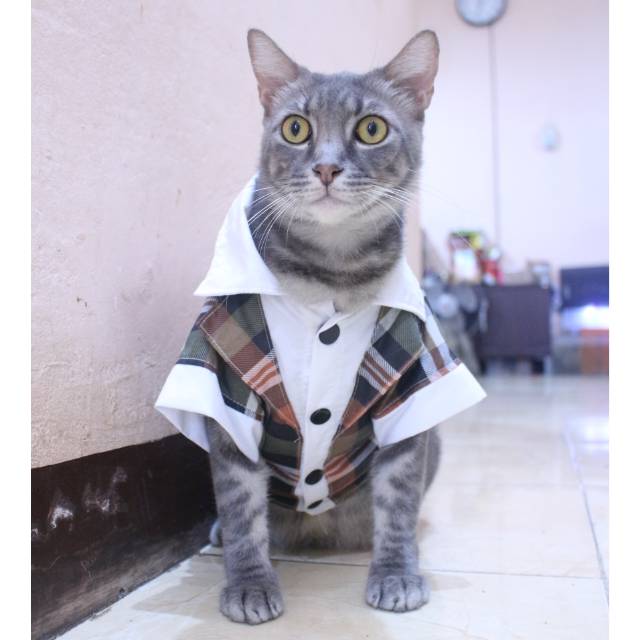 Tuxedo tanpa dasi motif kotak-kotak coklat lucu untuk kucing &amp; anjing / baju kucing murah size S-XL