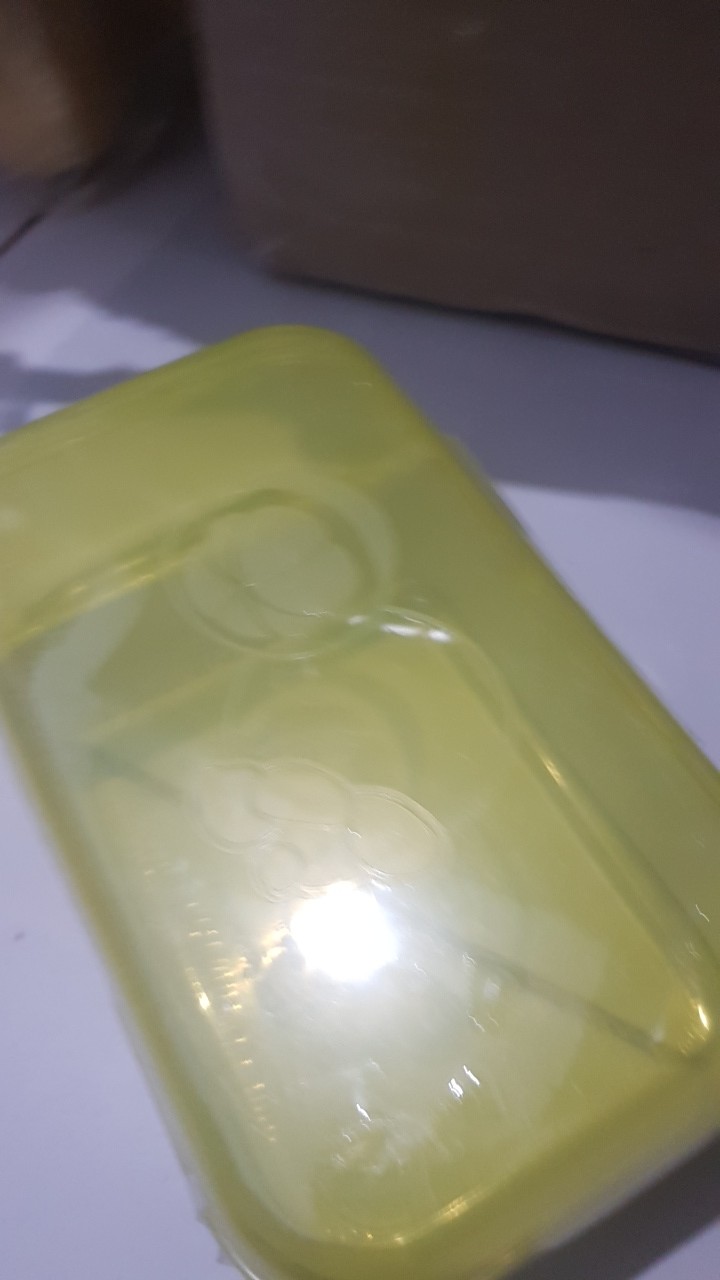 Kotak Makan / Tempat Bekal Manggis