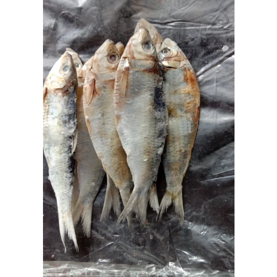 

Jual ikan asin tamban 1 kg