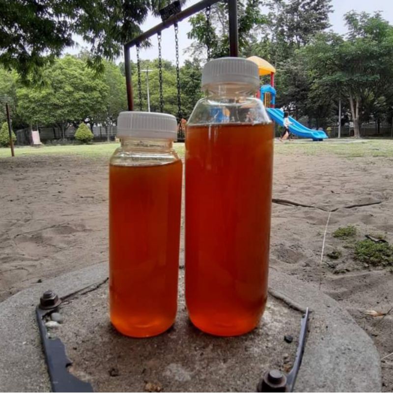 

Madu Hutan Asli
