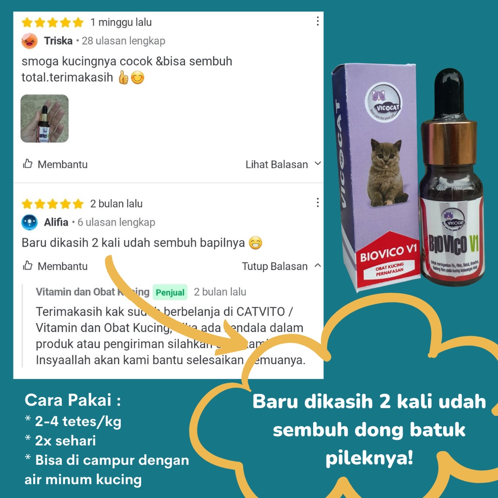 BIOVICO V1 Obat Kucing FLU Pilek Demam Virus Kitten Panas Antibiotik Pernafasan Kucing Ampuh Manjur dan Aman