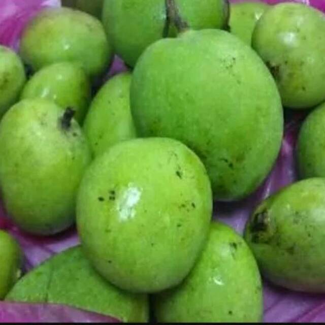 Jual Mangga Muda 1kg Mangga Rujak Fresh Shopee Indonesia