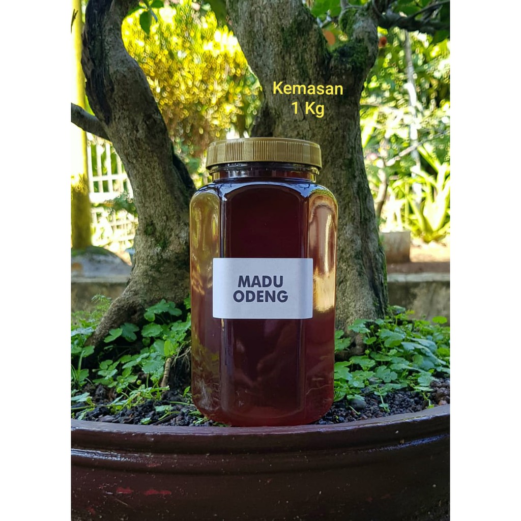 

MADU ODENG 1000gr / RAW HONEY / MADU HUTAN ASLI MURNI