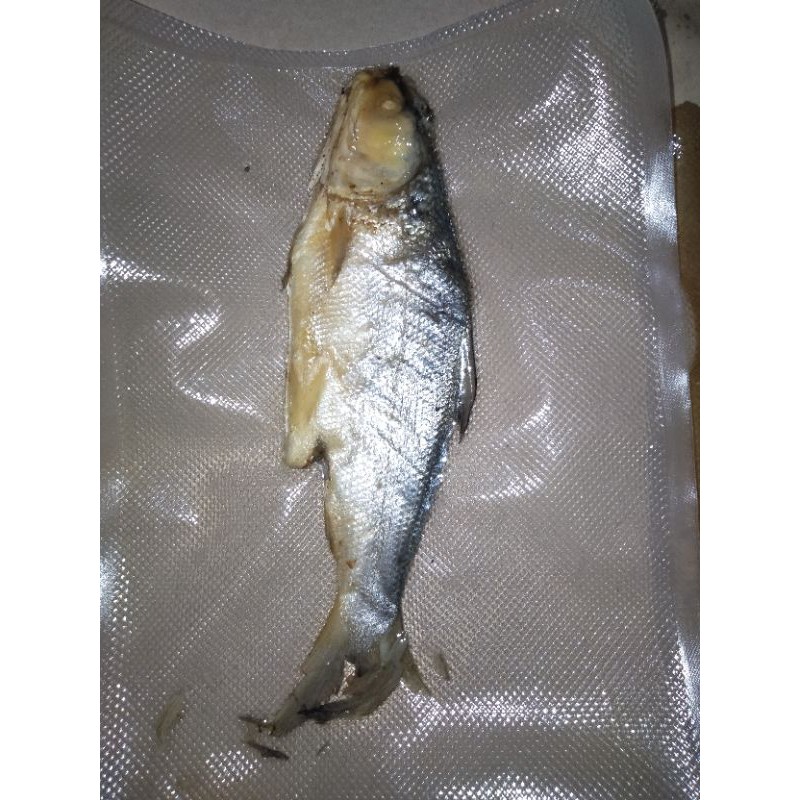 

Bandeng Presto Khas Semarang Vaccum