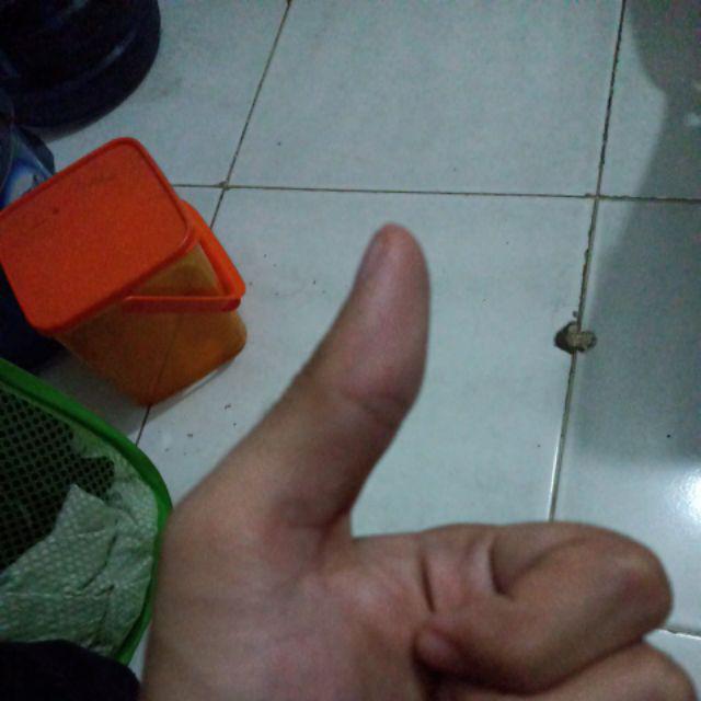 Ultra Cool Sachet Ice Pack Blue Ultracool Pengganti Es Batu 300 Gr