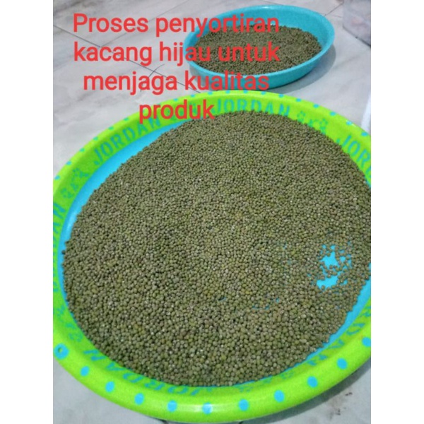 

Kacang Hijau Segar 1 kg