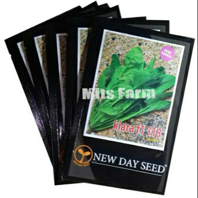 Bayam Jepang Kiara F1 NDS