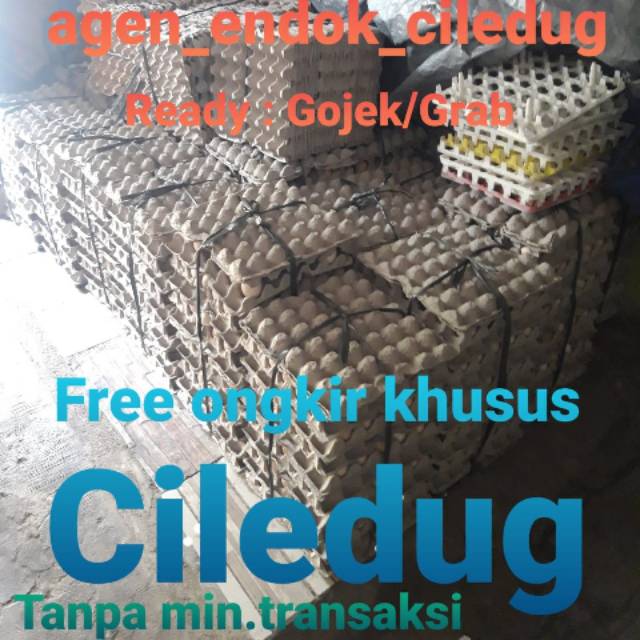 

TELUR AYAM NEGRI ORGANIK