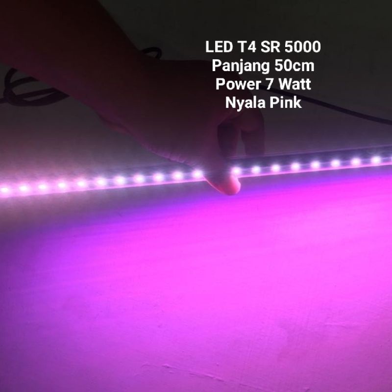 Lampu HIGH CLASS T4 LED Sakkai pro SR 5000 PINK 7watt Lampu Aquarium Arwana Tanning