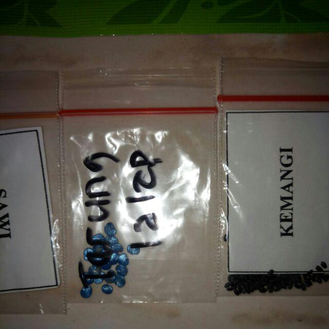 Repack Benih Murah- Benih Bibit Biji Terung Lalap Kenari (200btr)