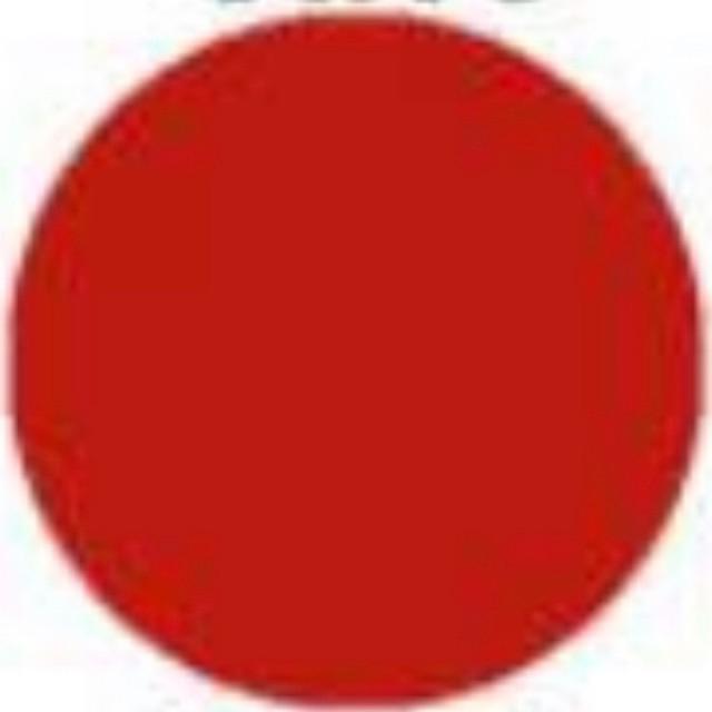 CAT SEPATU PIN PAINT 100ml -  CAT SEPATU CANVAS SUDE NUBUCK KANVAS - SEMIR SEPATU PERMANEN-Merah Pagoda