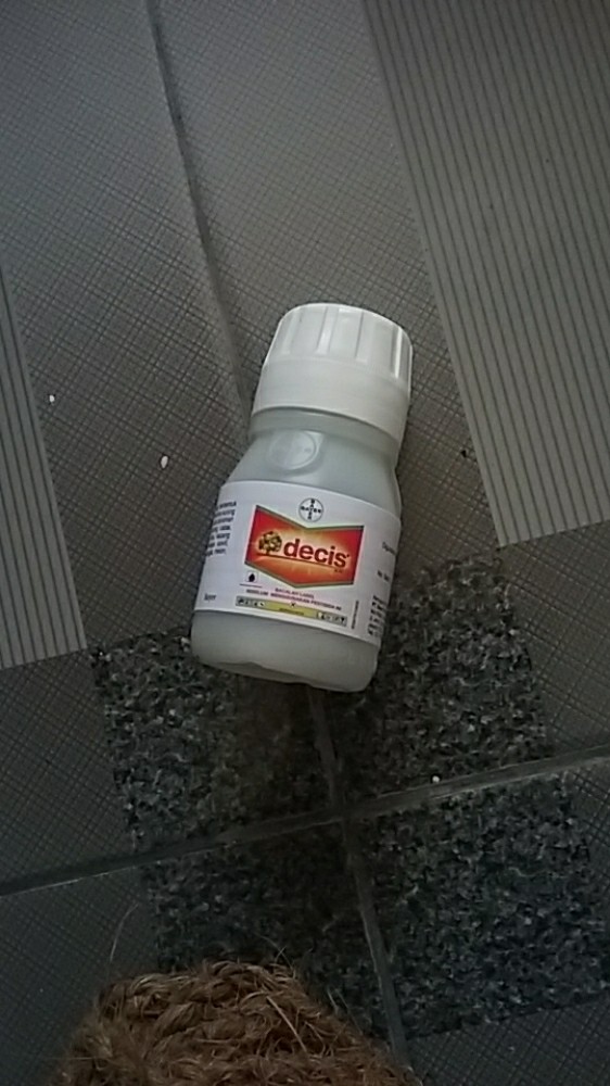 Decis Insektisida Obat Anti Hama Serangga Insectisida Cair