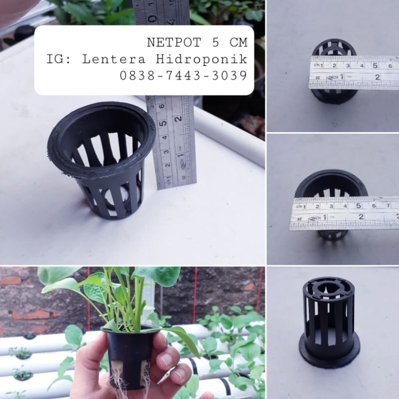 Netpot Hidroponik 5 cm