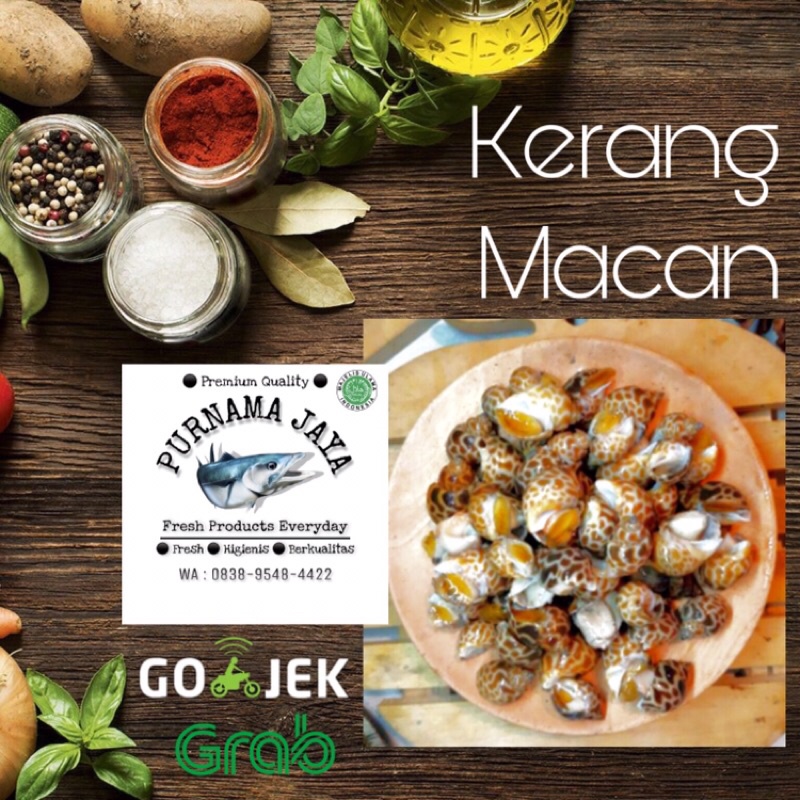 

Kerang Macan 1kg