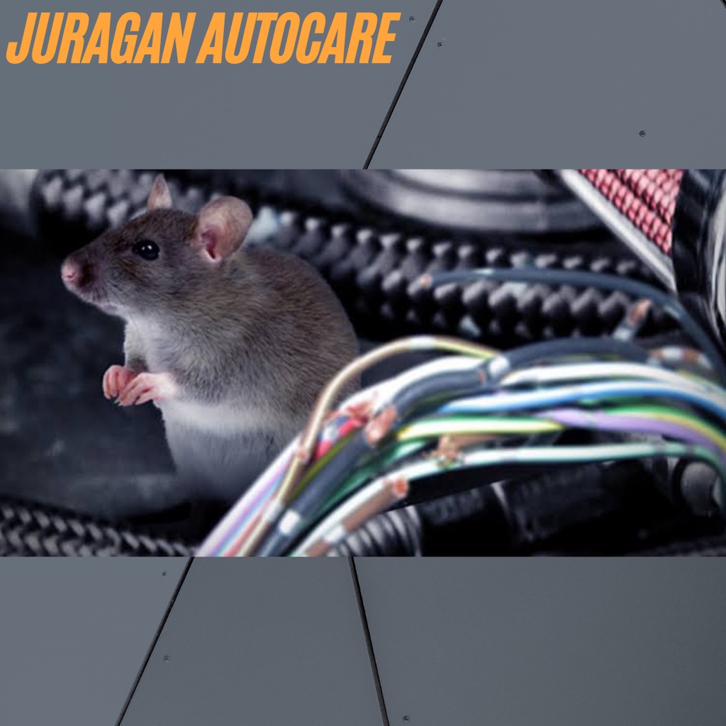 MOBIL AMAN DARI TIKUS - Pengusir Tikus di Mobil - Cairan Anti Tikus Untuk Mesin Mobil - Rat Repellent - Pembasmi Tikus Paling Ampuh Juragan Autocare